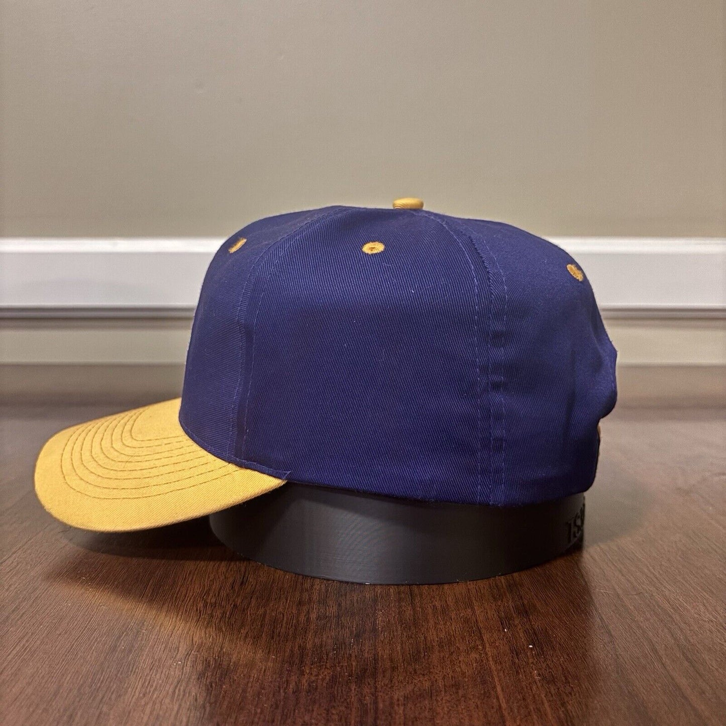 Purple Minnesota Vikings Hat